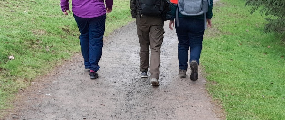 SWAN Scotland Secures Walking Fund for Scotland Grant to Grow Our Wellbeing Walks Cover image