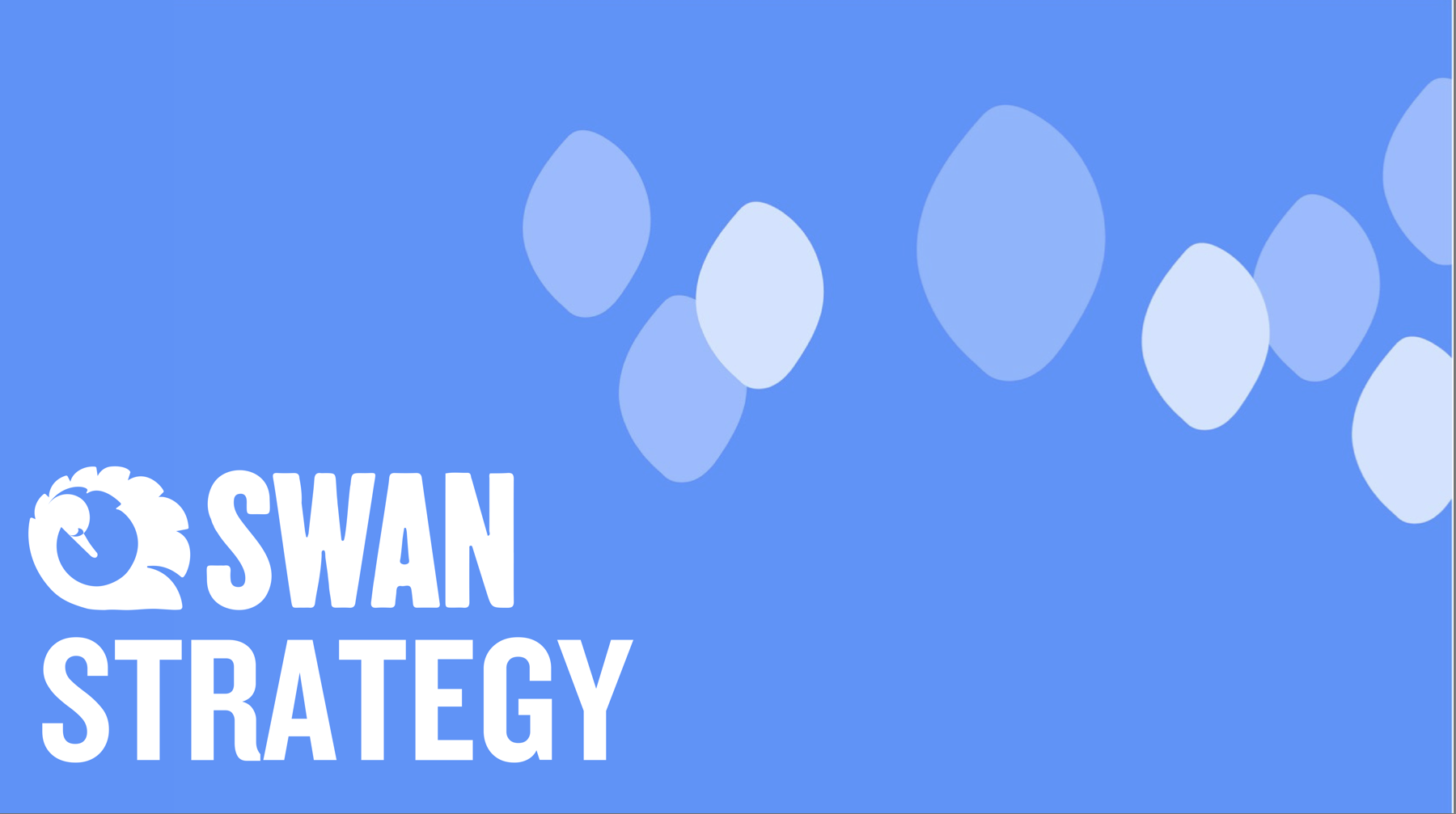  - New SWAN Strategy 