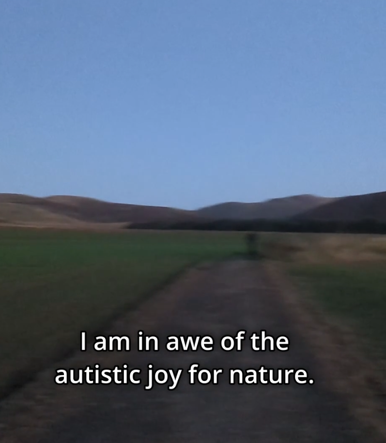  - NatureAware - Individual Projects & Short Film 