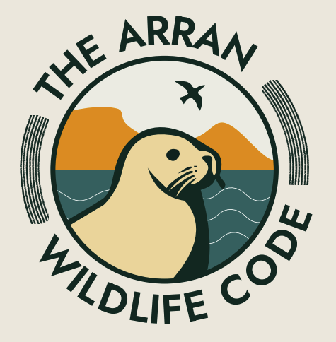  - NatureAware - Individual Projects & Short Film 
