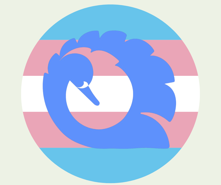 Trans and Non-Binary Inclusion at SWAN Cover image