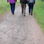 SWAN Stirling Health Walks Every Monday in June Cover image