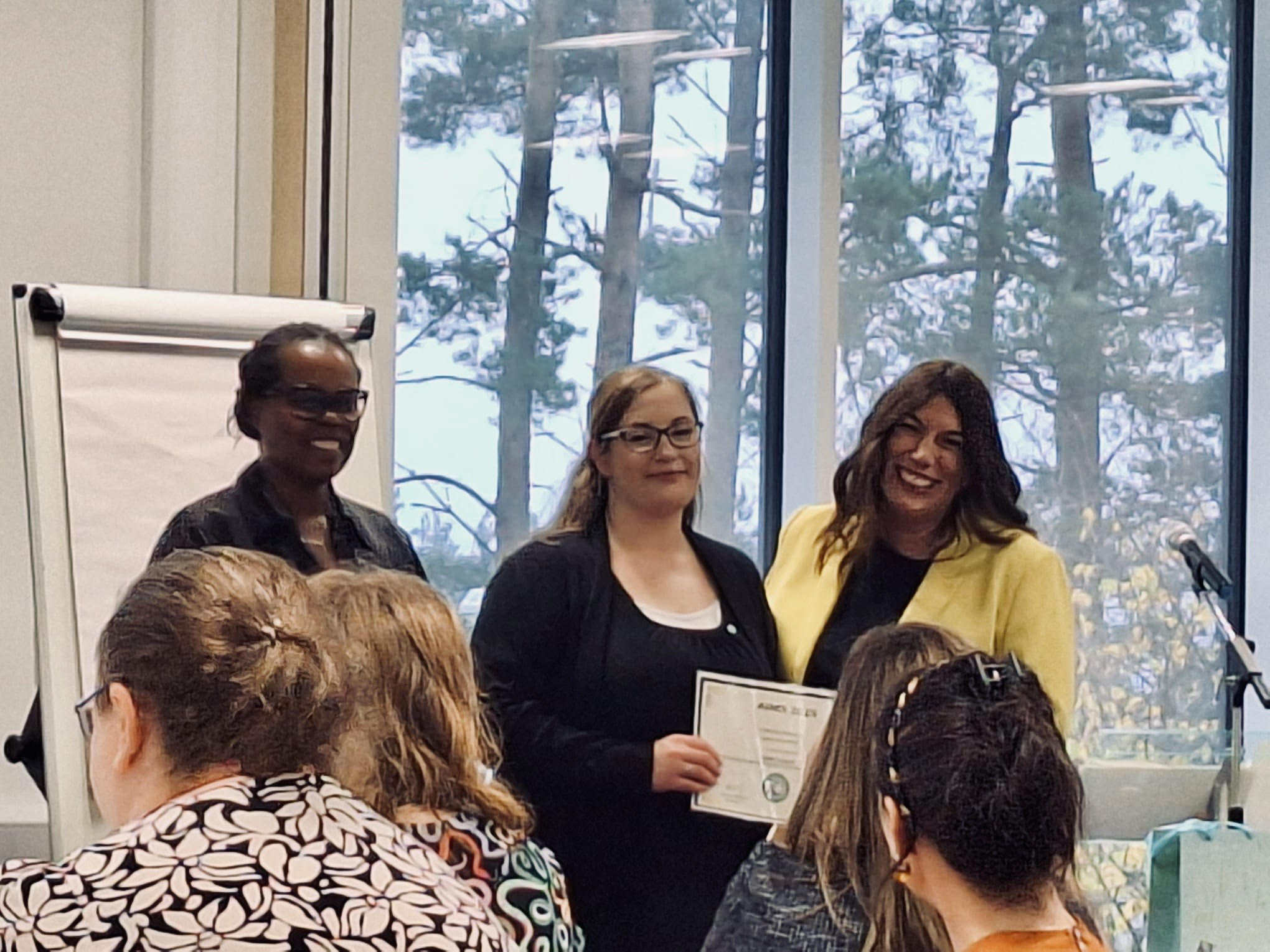  - Addressing Inequalities in Maternity Services 