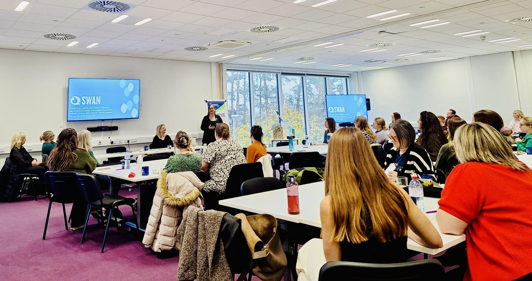  - Addressing Inequalities in Maternity Services 